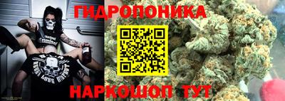 эйфоретик Кингисепп